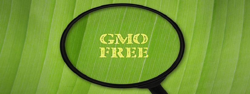转基因食品测试(GMO)