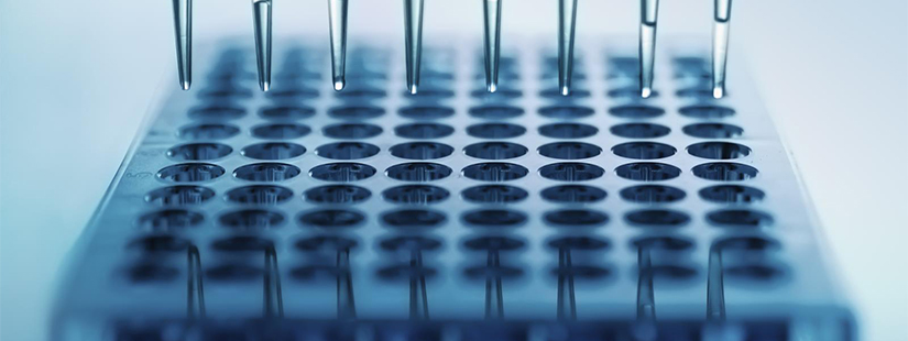 PCR技术动物源性成分测试